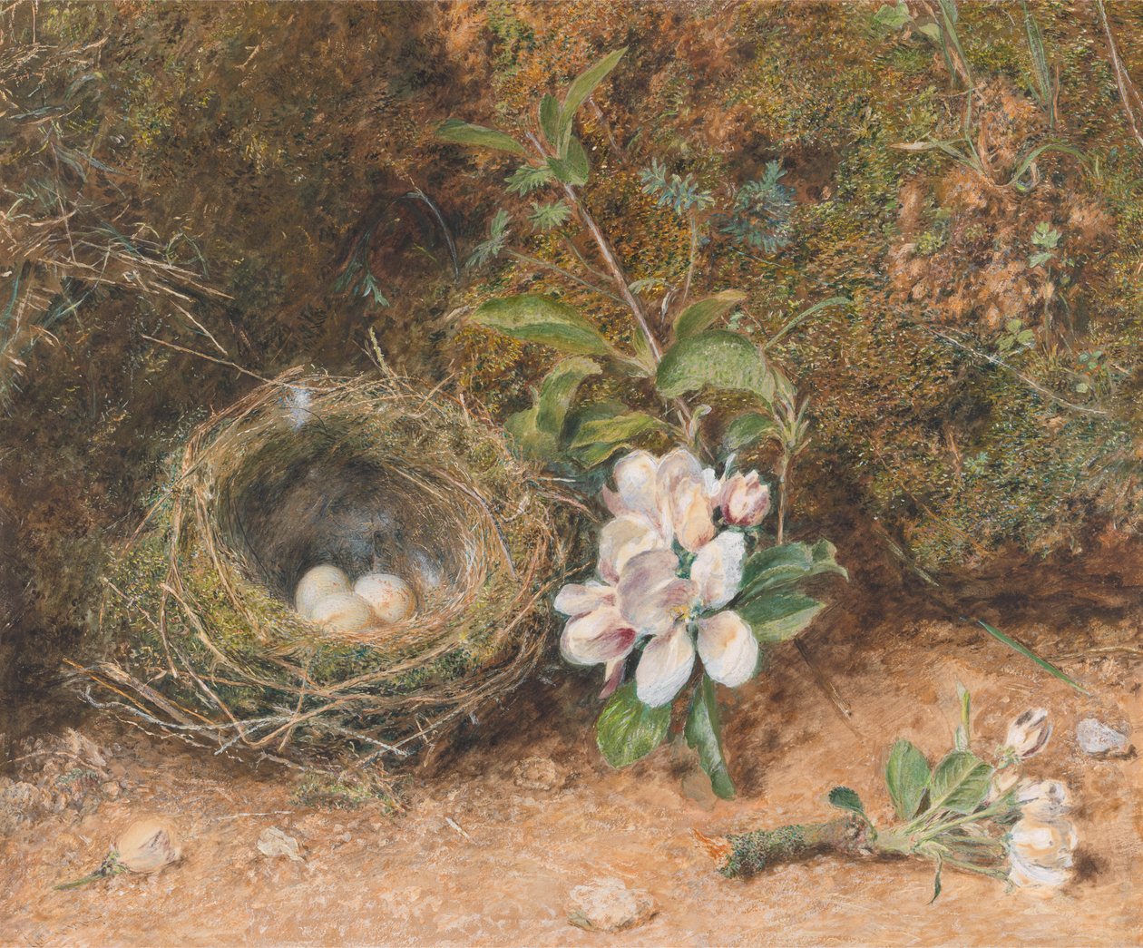 Ninho de Aves com Pulverizadores de Flores de Maçã de William Henry Hunt
