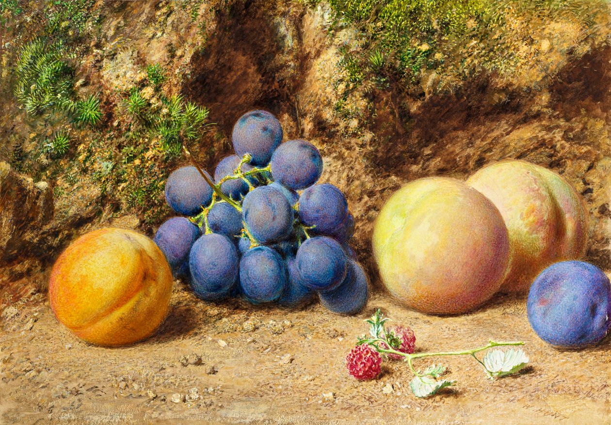 Uvas pretas, pêssegos, damascos e framboesas, c.1860 de William Henry Hunt