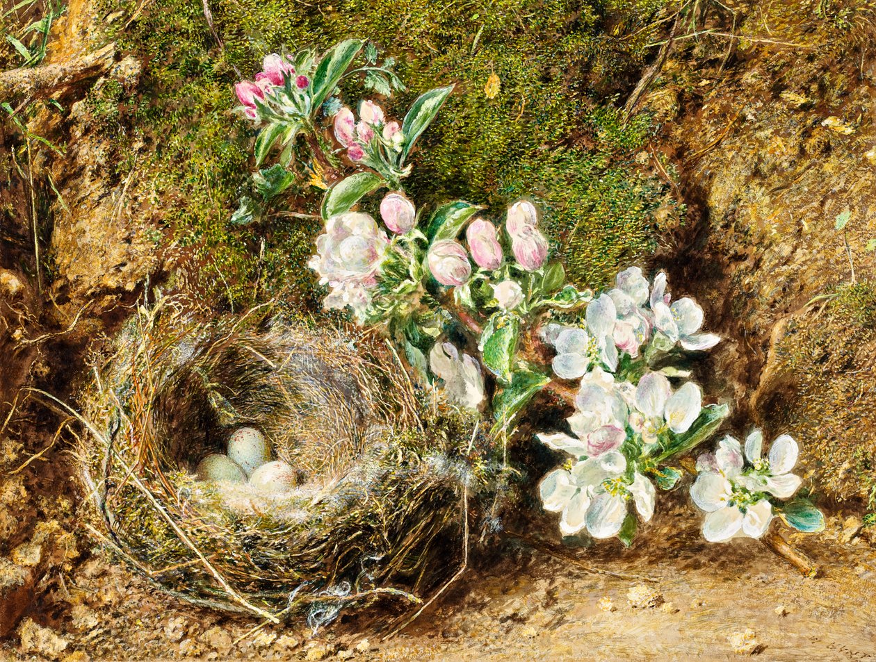 Ramo de flor de maçã e ninho de pássaro de William Henry Hunt