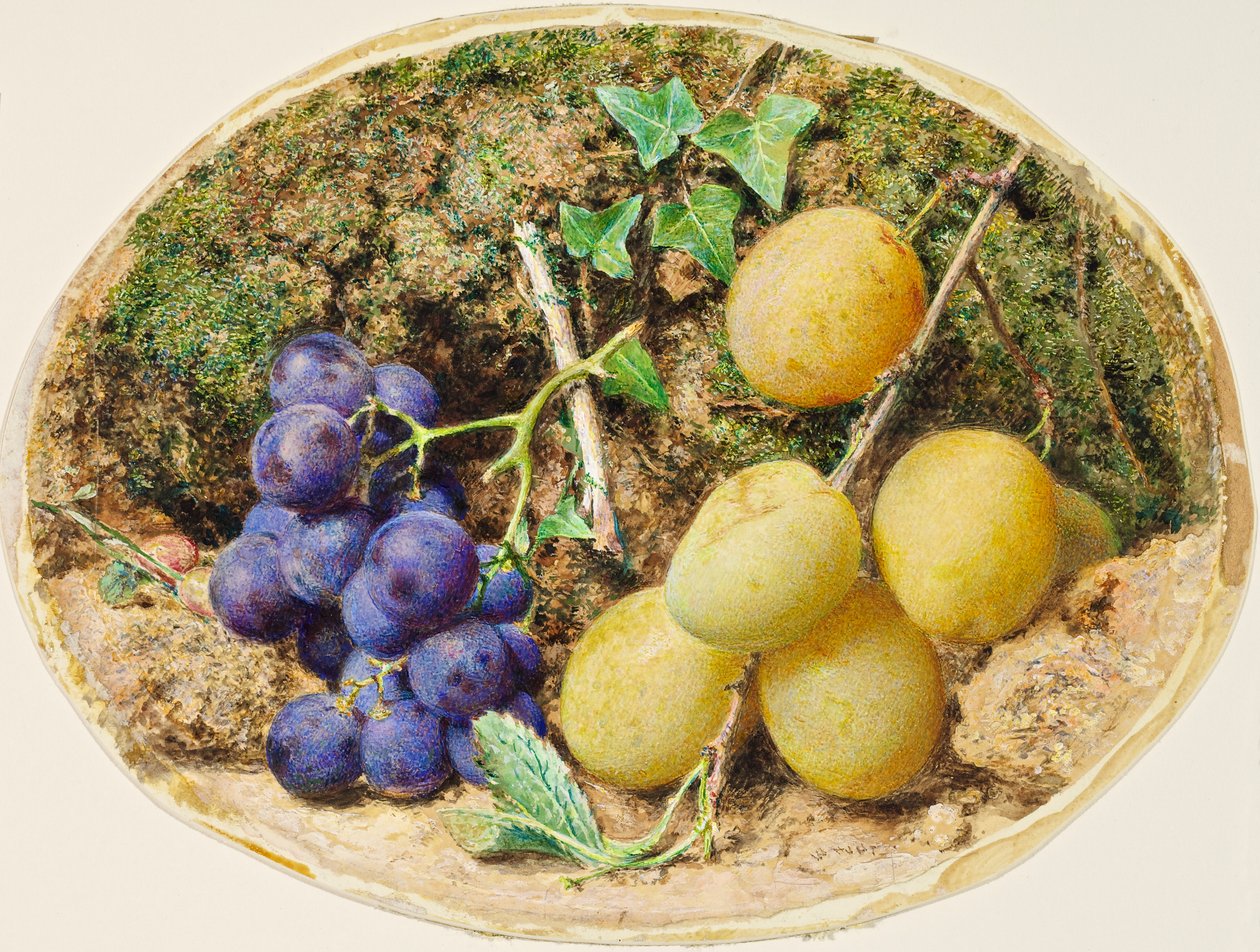Ameixas Golden Drop e uvas pretas, c.1860 de William Henry Hunt