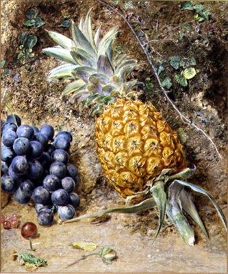 Uvas e Abacaxi (guache no papel) de William Henry Hunt