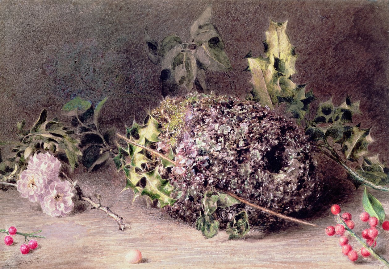 Ninho de Cauda Longa de William Henry Hunt