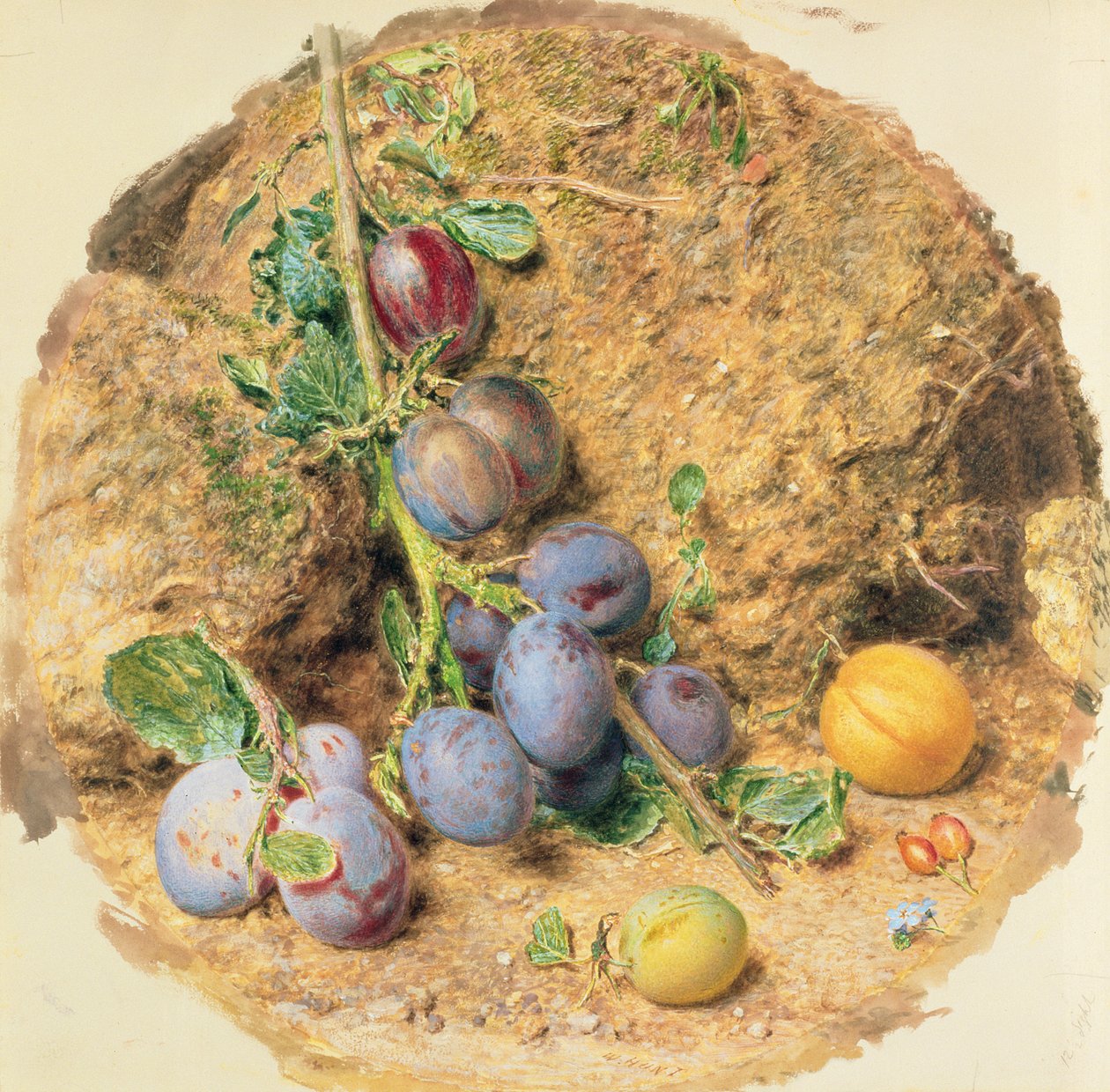Ameixas de William Henry Hunt