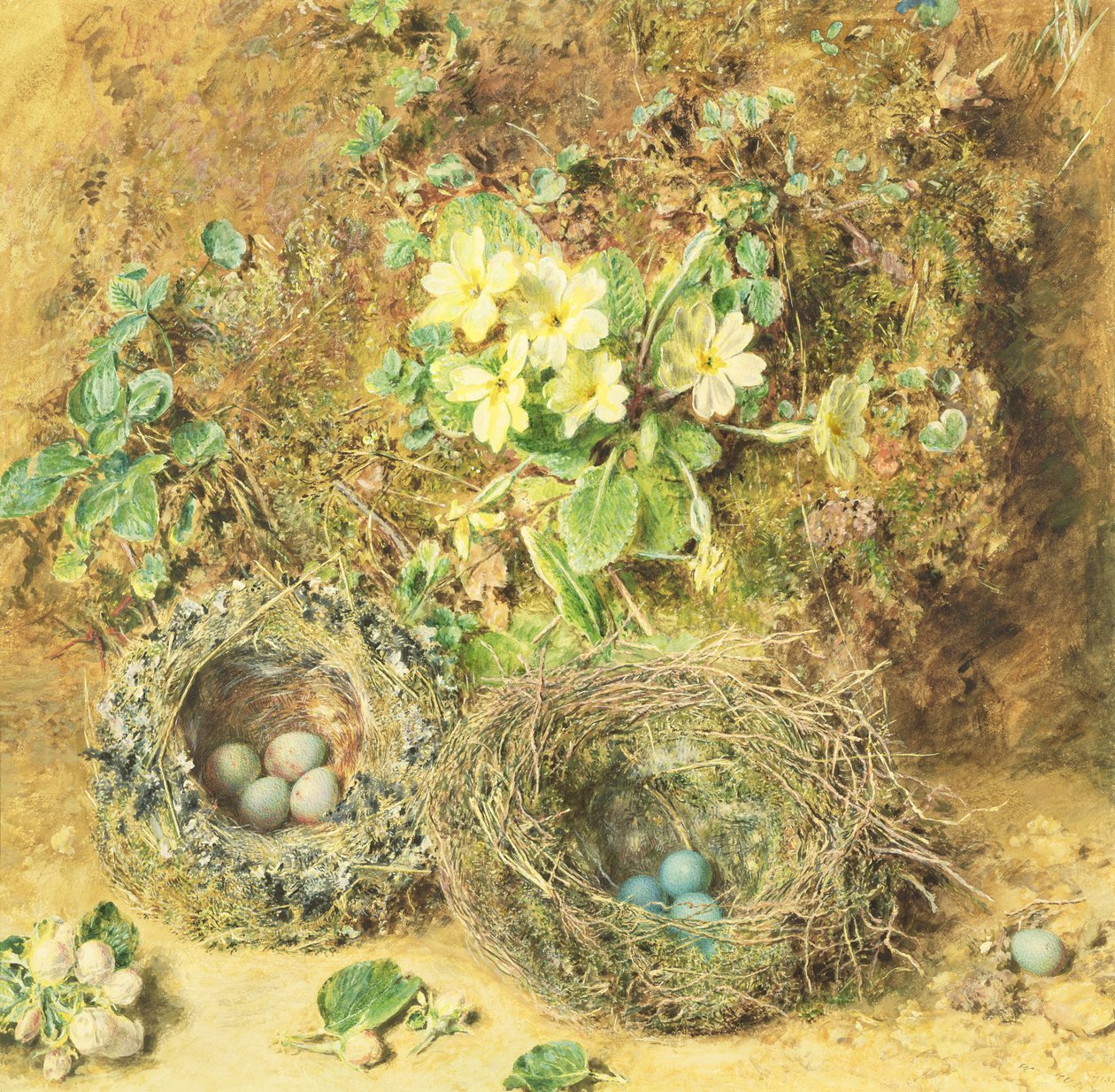 Prímulas e ninhos de pássaros de William Henry Hunt