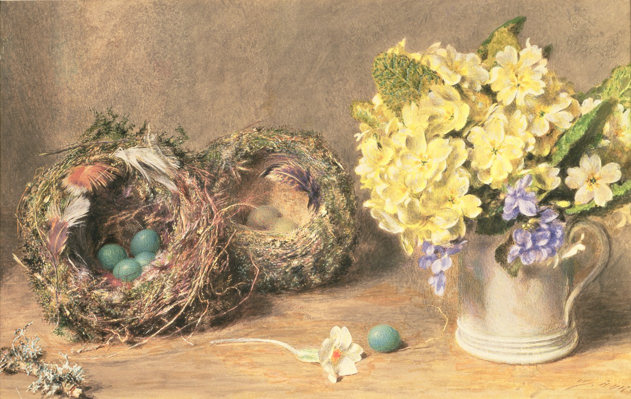 Flores de primavera e Ninhos de Pássaros, c.1830 (aguarela e cor de corpo sobre papel) de William Henry Hunt