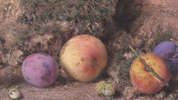 Natureza Morta de William Henry Hunt