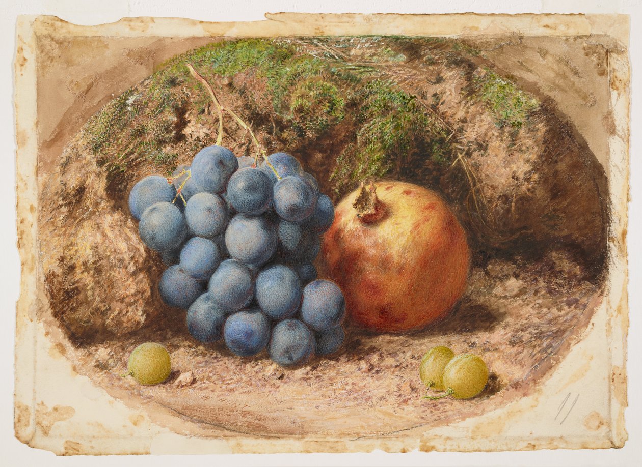 Natureza-morta com uvas e uma romã de William Henry Hunt