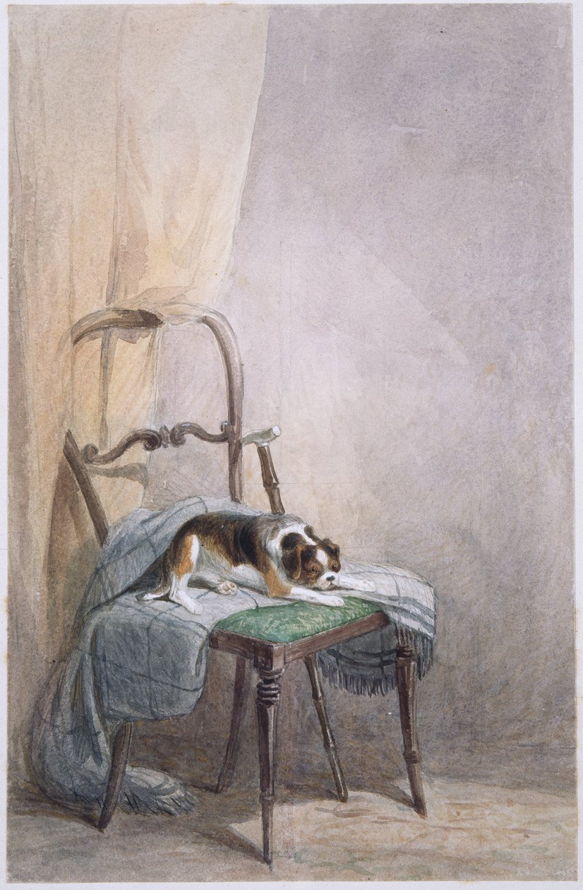 Estudo de um cão em uma cadeira (aquarela sobre papel) de William Henry Hunt