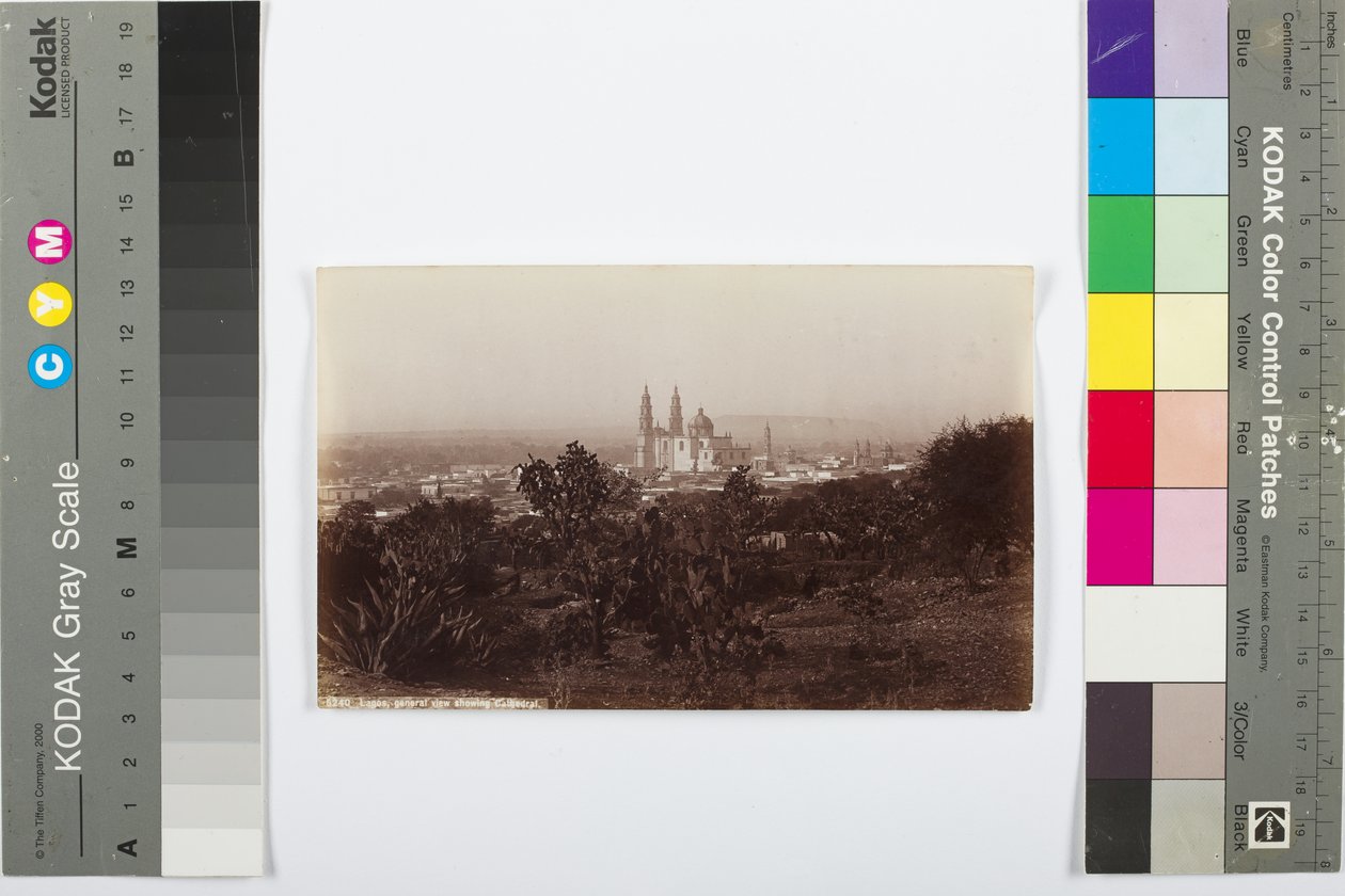 Lagos, vista geral mostrando a catedral, 1883-1884 (albumen print) de William Henry Jackson