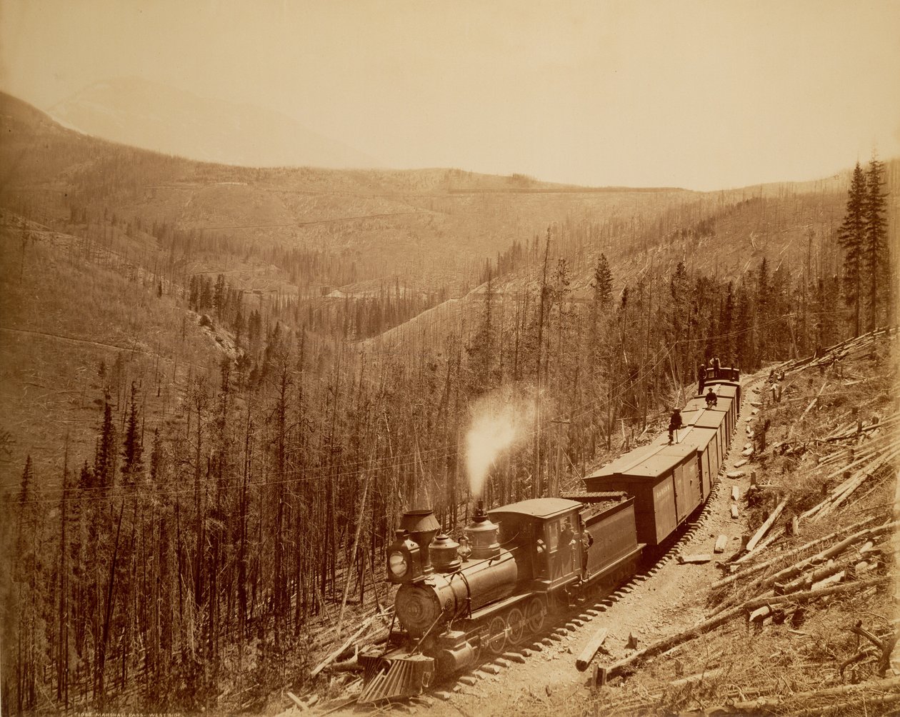 Marshall Pass, Zona Oeste de William Henry Jackson