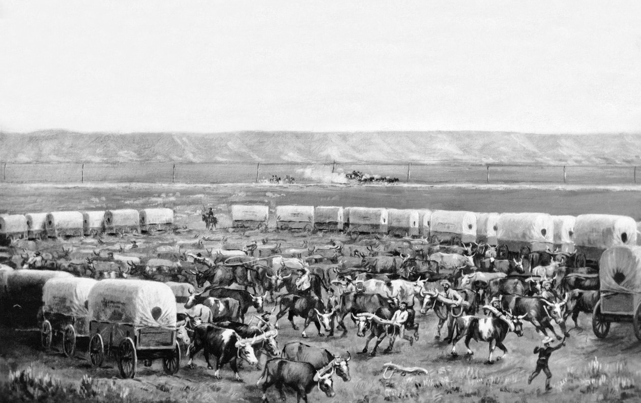 Bois sendo puxados para cima num curral de vagões cobertos num quadro de W. H. Jackson, Scotts Bluff, Nebraska: c. 1875 de William Henry Jackson