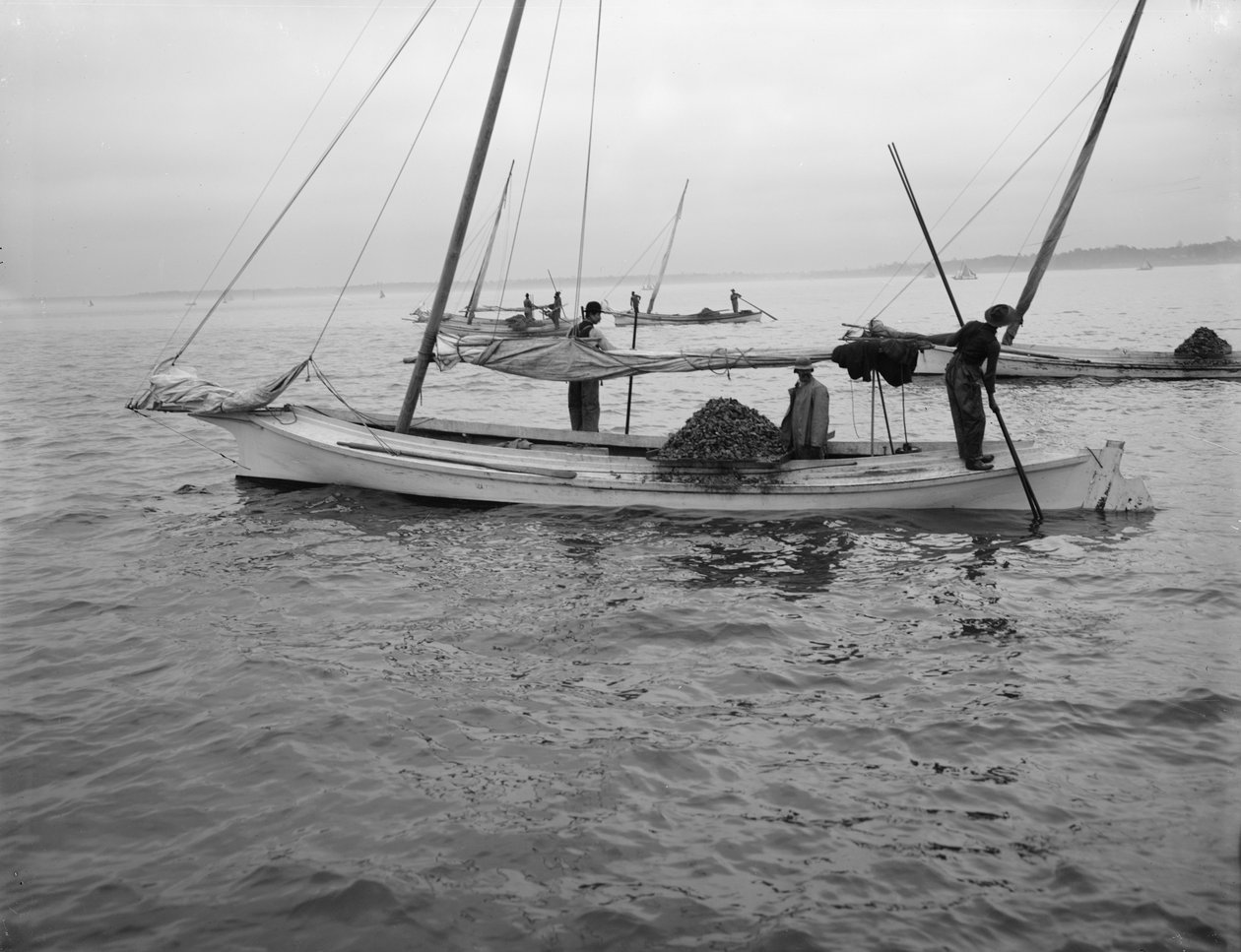 Ostra de dragagem. c.1890-1910 de William Henry Jackson