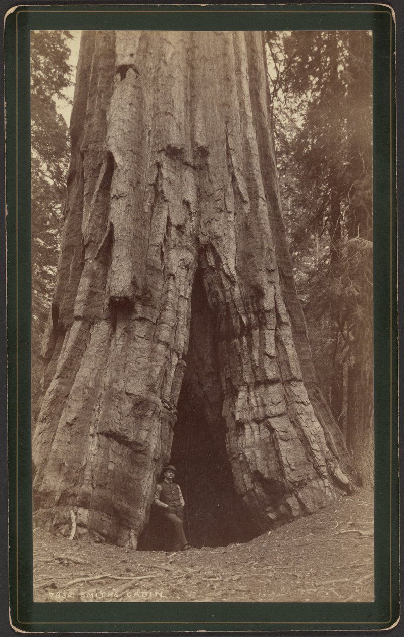 Cabana dos Ferreiros de William Henry Jackson