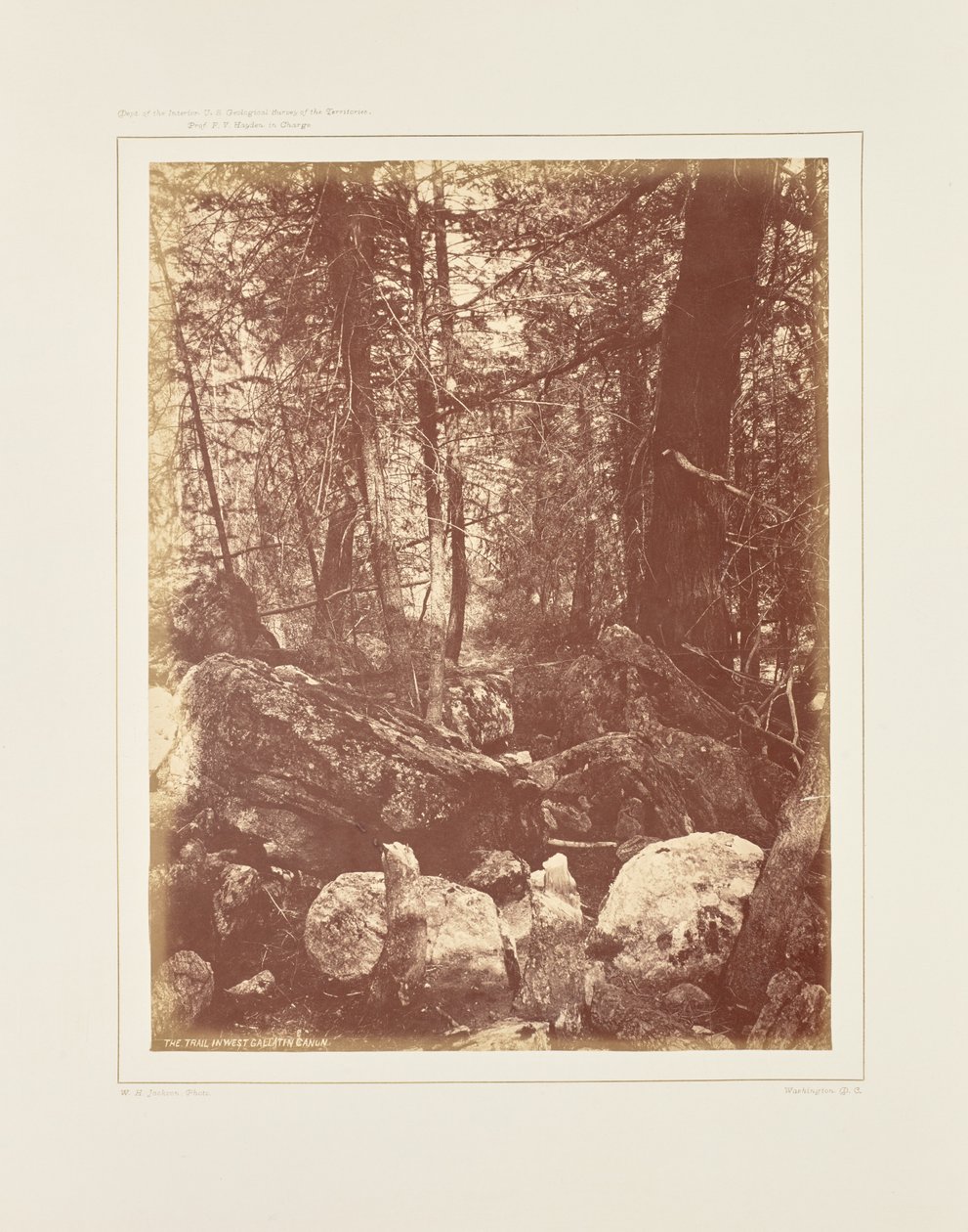 O trilho no bosque, Gallatin Cañon de William Henry Jackson