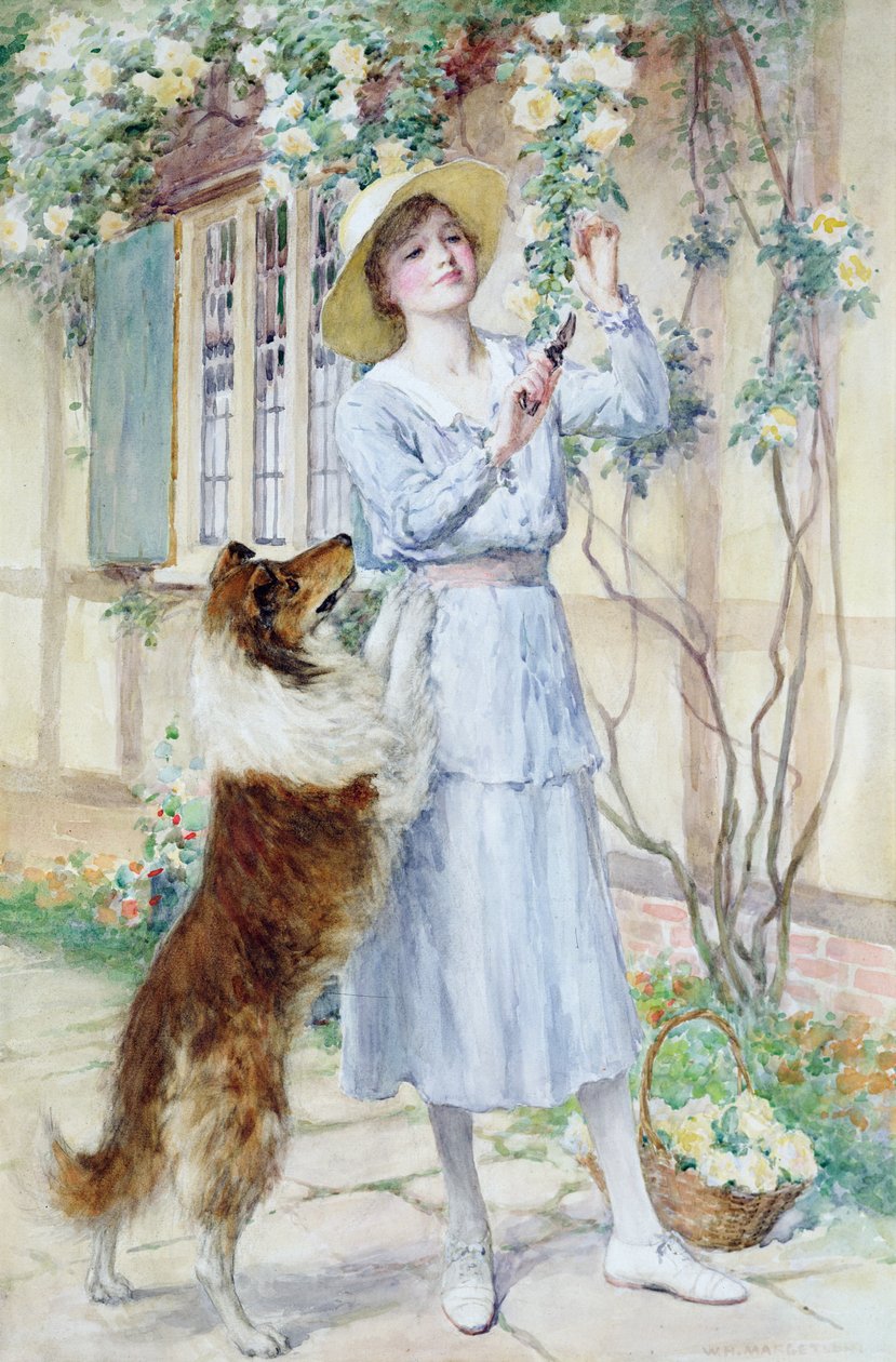 Apanhar rosas (aguarela sobre papel) de William Henry Margetson
