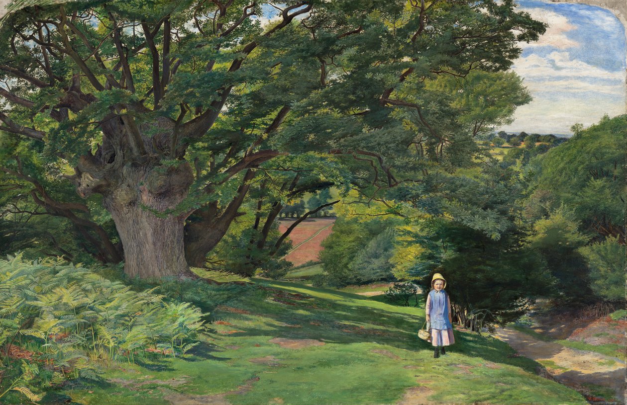 Hayes Comum de William Henry Millais