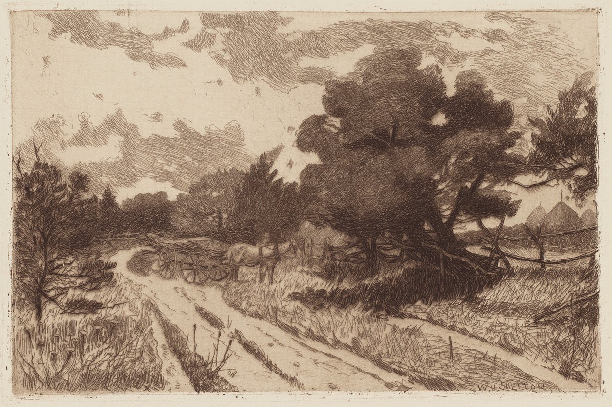 Uma estrada de Long Island de William Henry Shelton