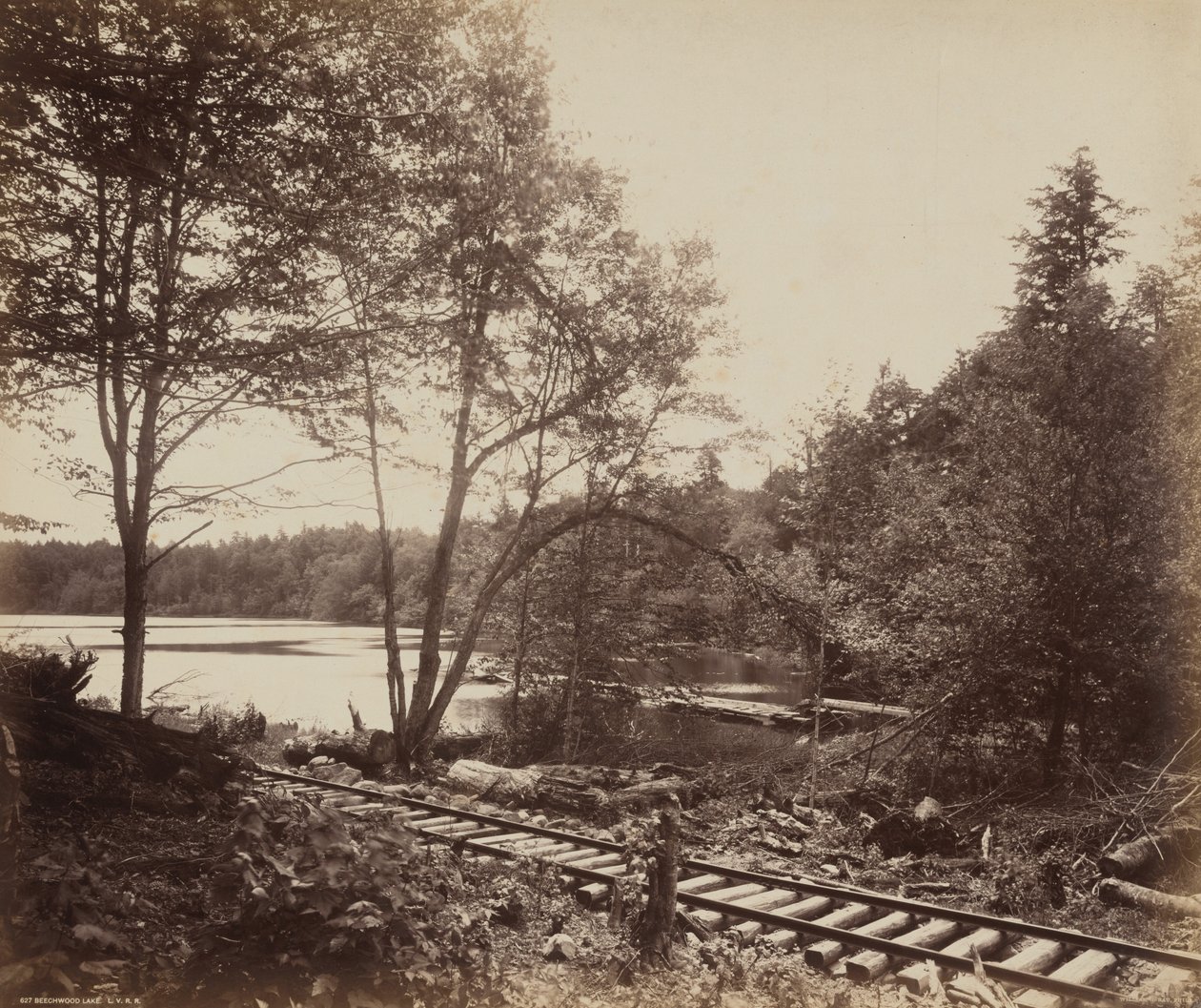 Lago Beechwood, c. 1895 (foto) de William Herman Rau