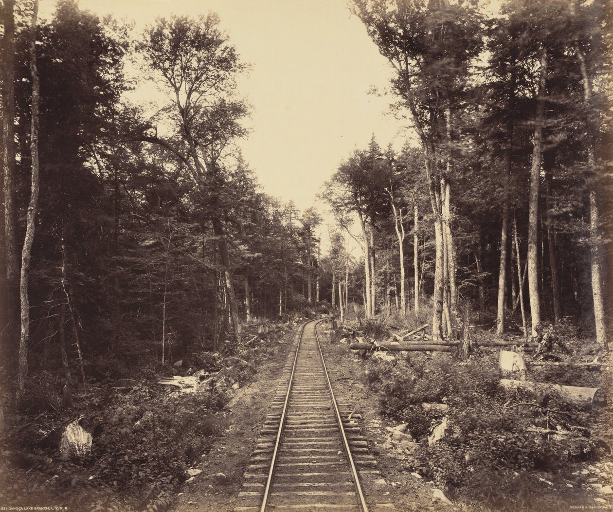 Ramal do Lago Ganoga, c. 1895 (foto) de William Herman Rau