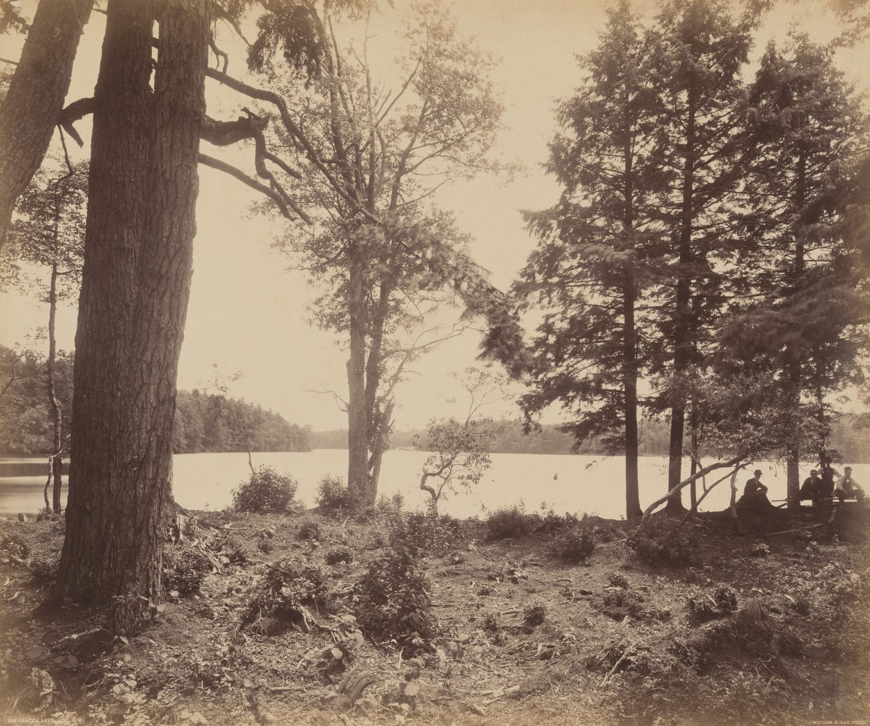 Lago Ganoga, c. 1895 (foto) de William Herman Rau