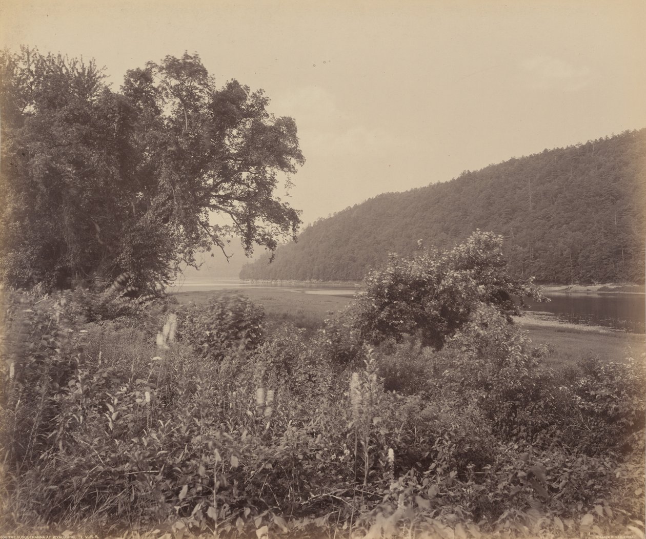 O Susquehanna em Wyalusing, c. 1895 (foto) de William Herman Rau