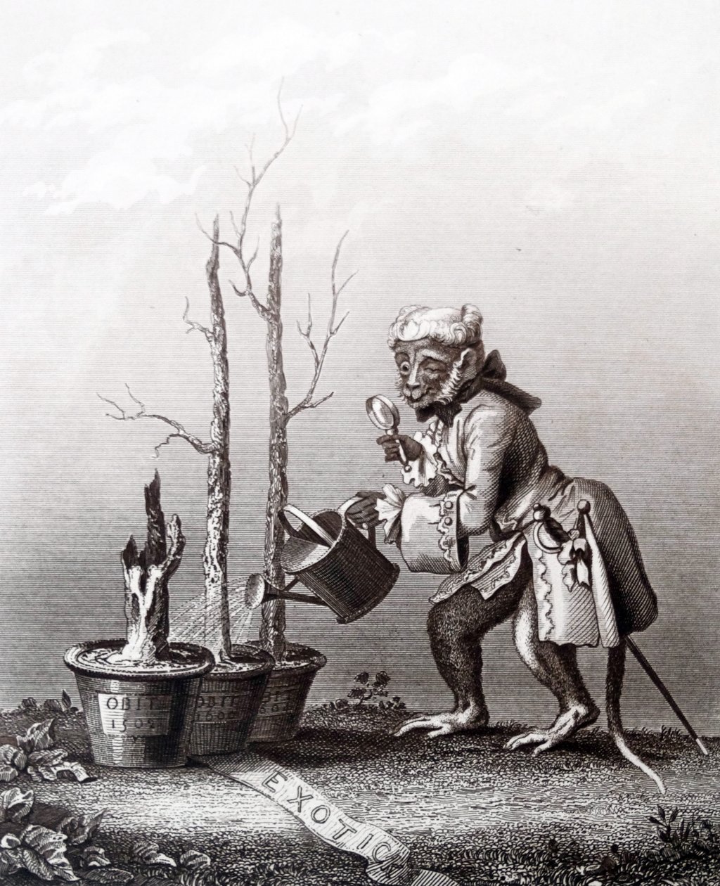 Peça de cauda do catálogo dos artistas de William Hogarth