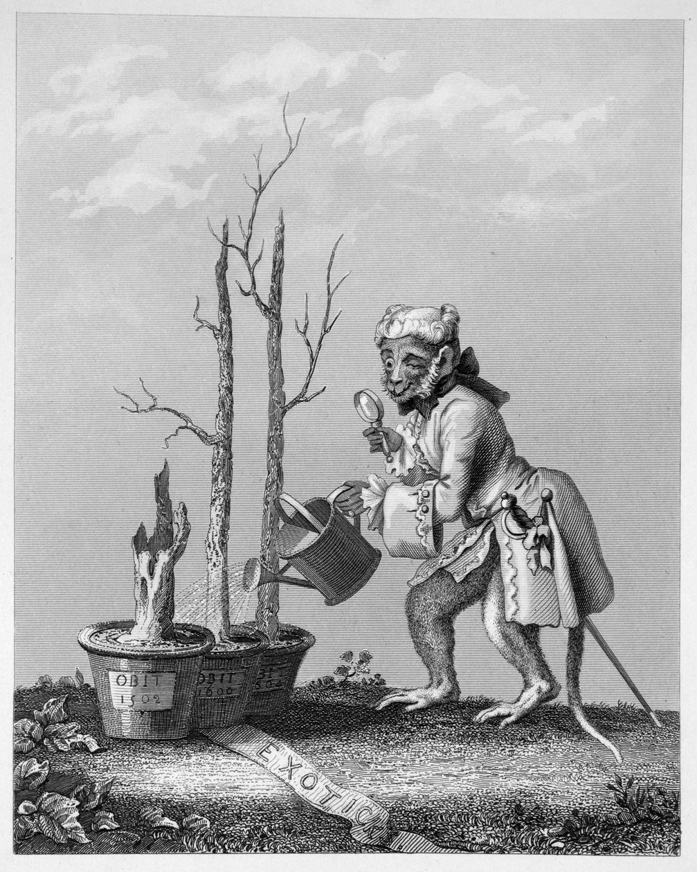 Cauda, Peça ao catálogo de Artistas, 1761 de William Hogarth
