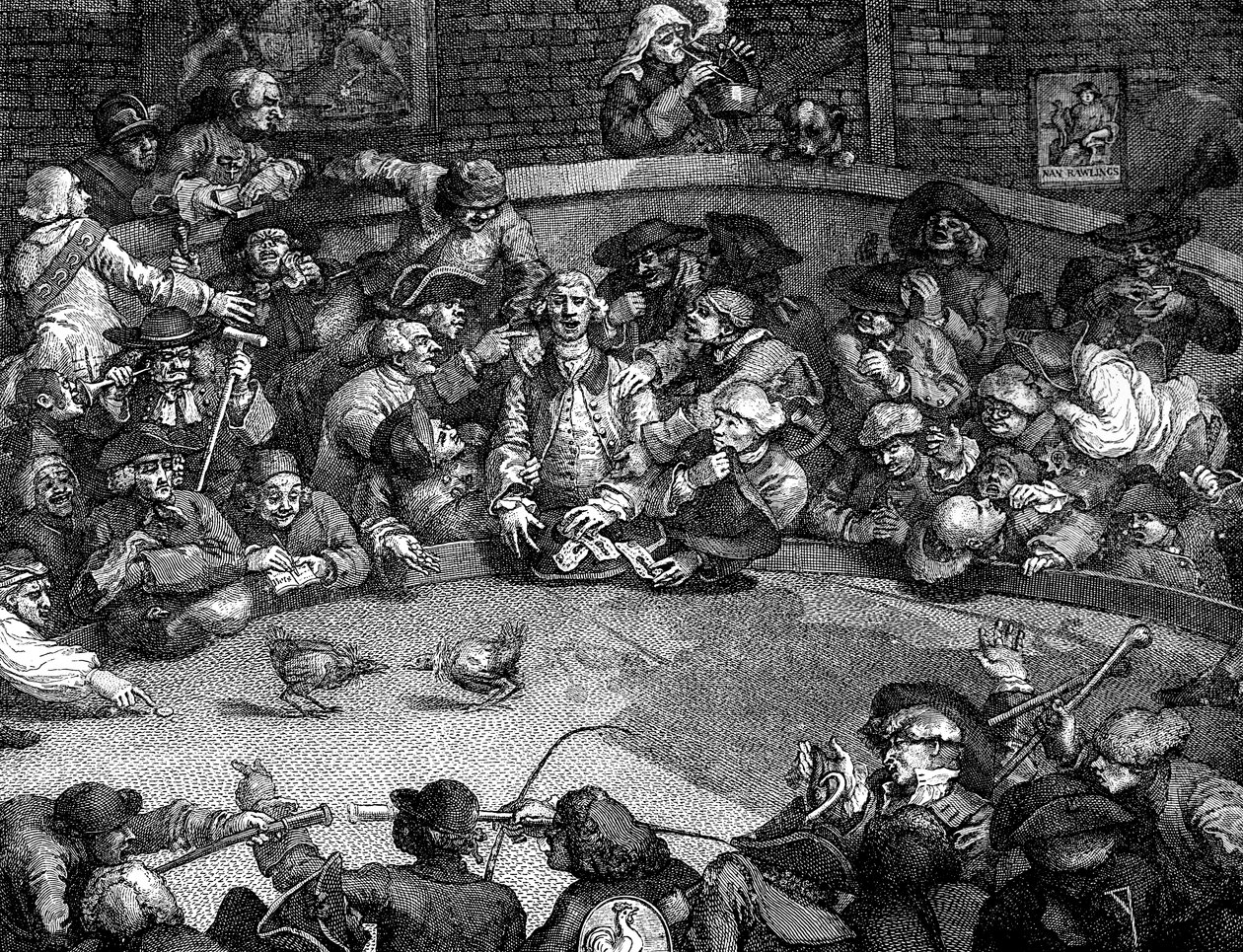 O Galo do Galo, 1759. de William Hogarth