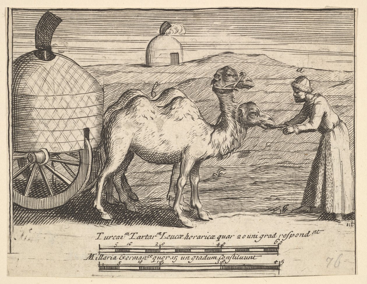Dois dromedários Aubry de La Mottrayes Viaja pela Europa, Ásia e parte ..., 1723-24. de William Hogarth