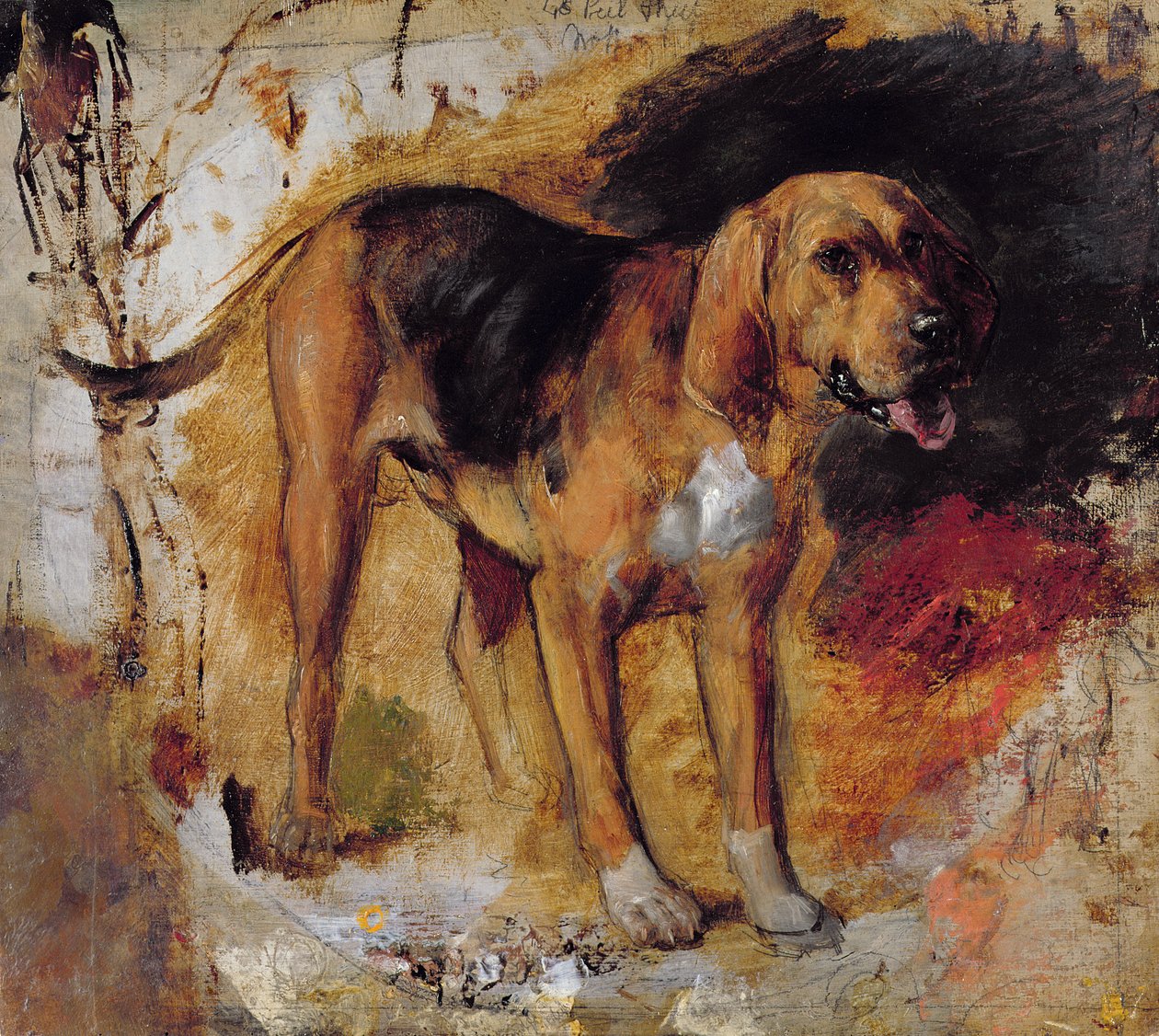 Um estudo de um Bloodhound de William Holman Hunt