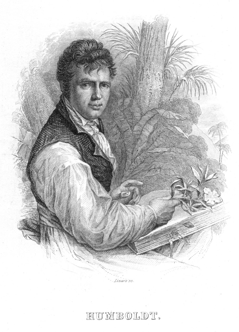 Alexander von Humboldt, naturalista alemão, c1830 de William Home Lizars