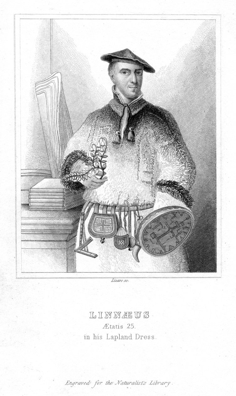 Carolus Linnaeus, naturalista sueco, início do século XIX em 1732 de William Home Lizars