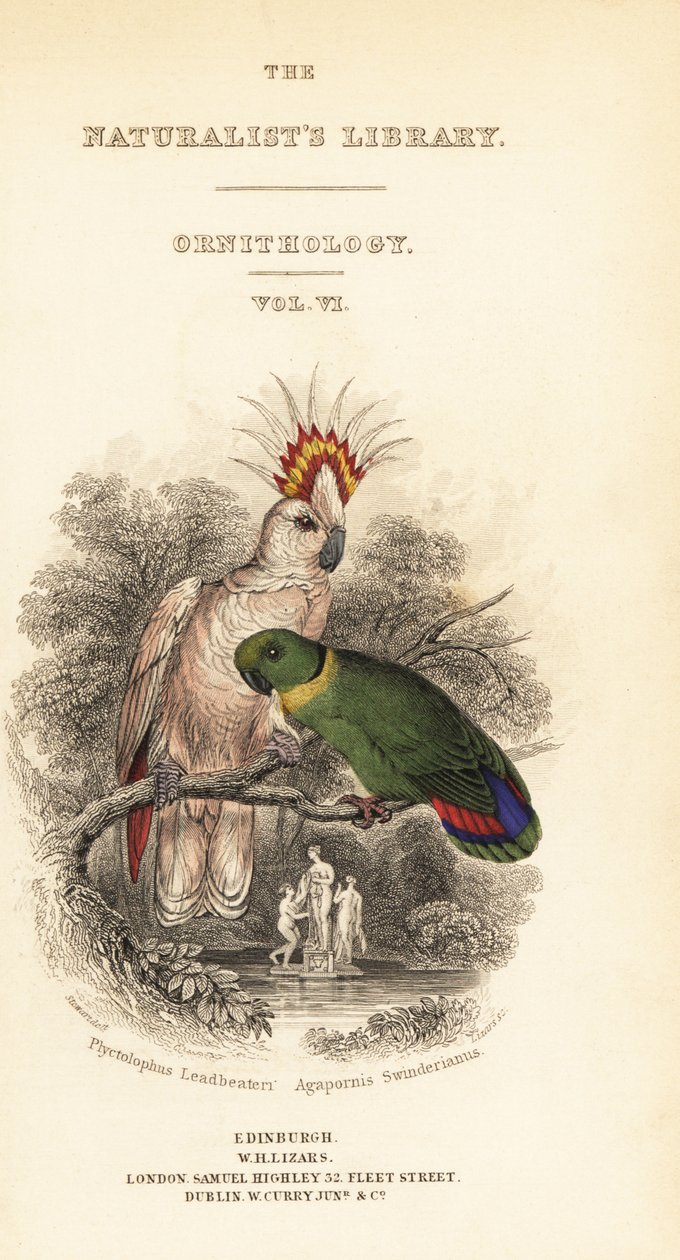 Página com a vinheta da cacatua do Major Mitchell e do pombinho de colarinho preto de William Home Lizars