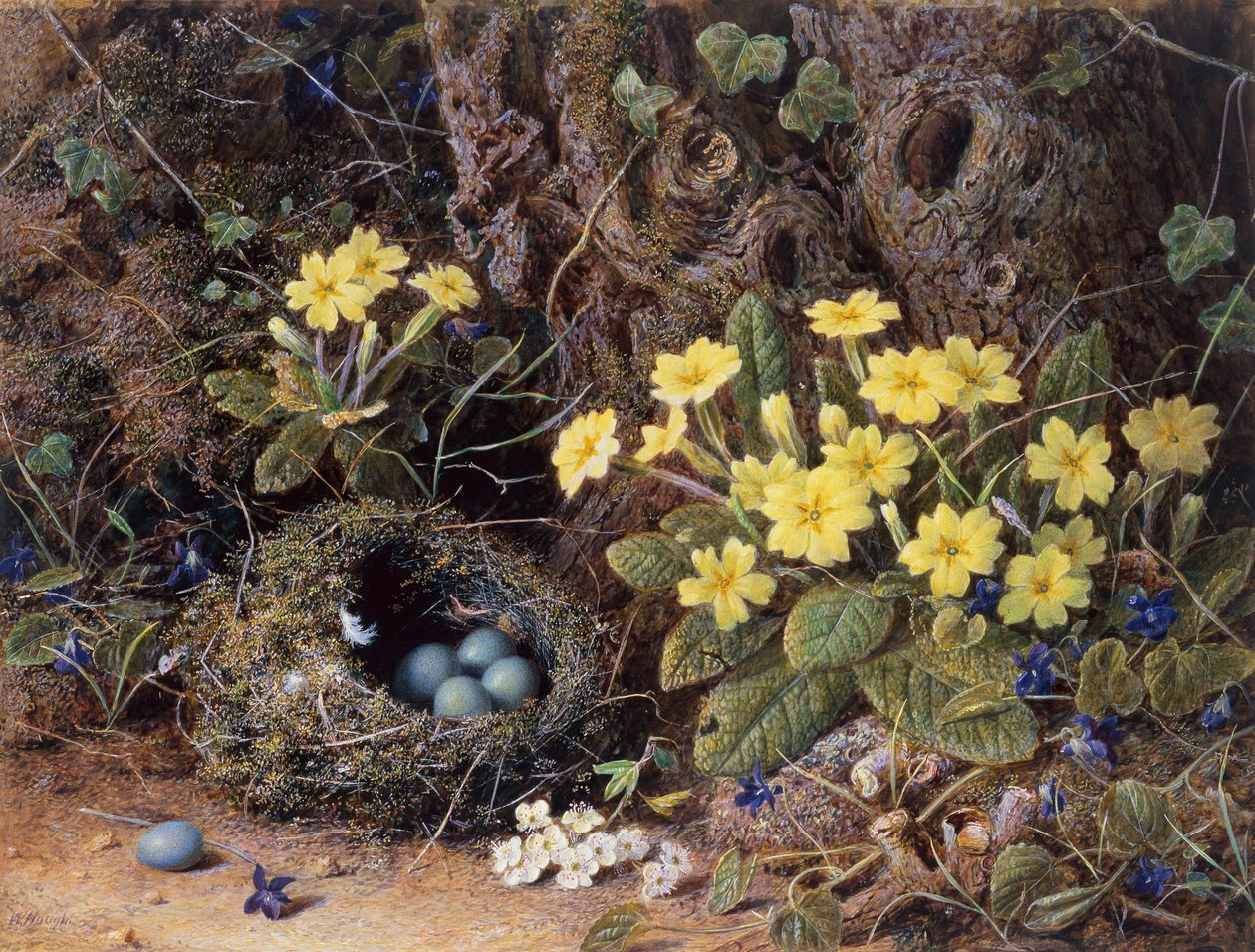 Natureza morta com ninho de pássaros, prímulas e violetas (lápis e aquarela) de William Hough
