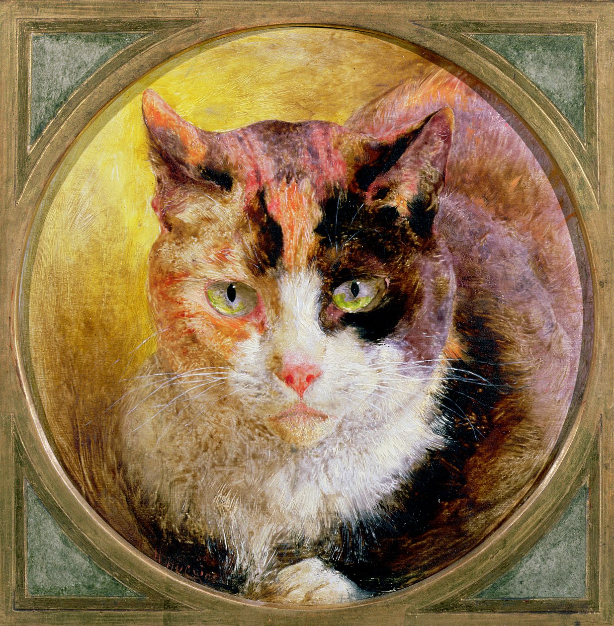 Um estudo da cabeça de um gato de tartaruga, 1866 de William Huggins