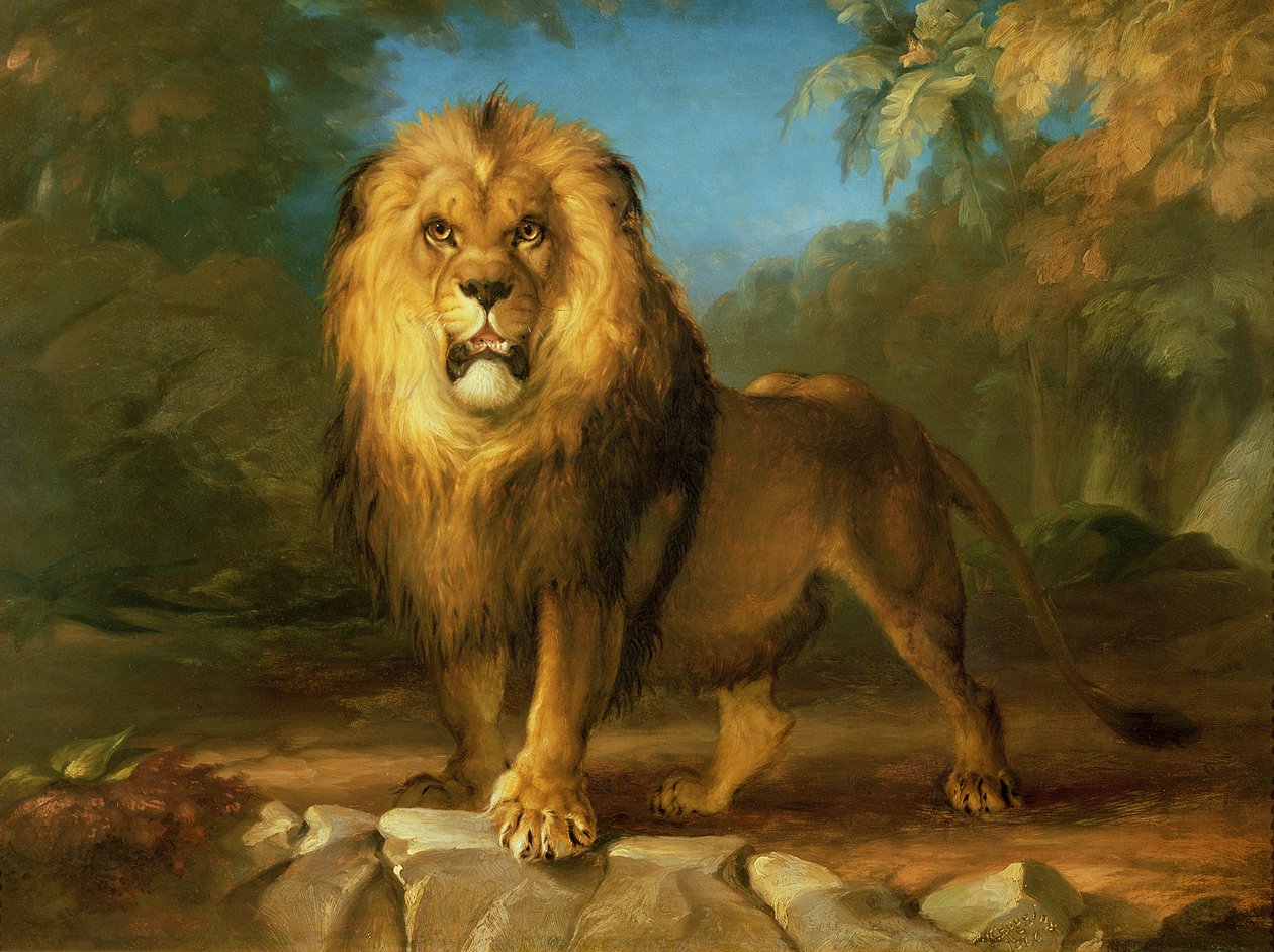 Um Leão, 1840 de William Huggins