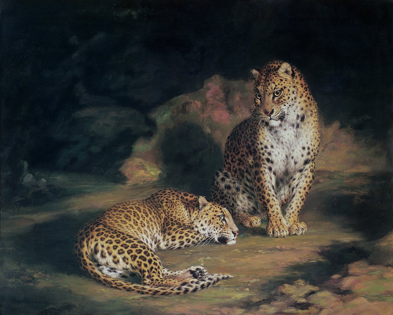 Um par de leopardos, 1845 de William Huggins