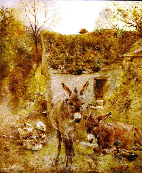 Burros e Patos no Quintal da Fazenda de William Huggins