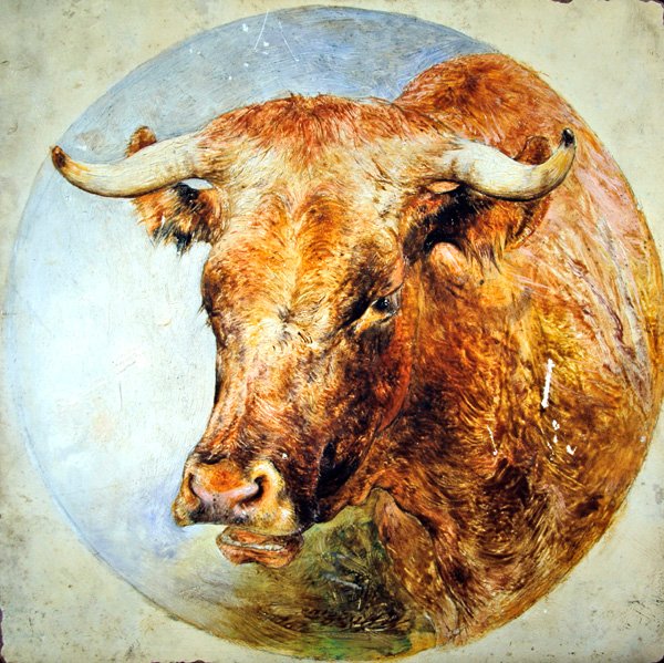Cabeça de uma Vaca Longhorn de William Huggins