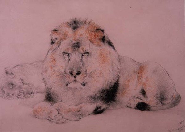 Leão e Lioness de William Huggins