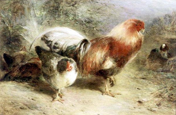 Avicultura de William Huggins