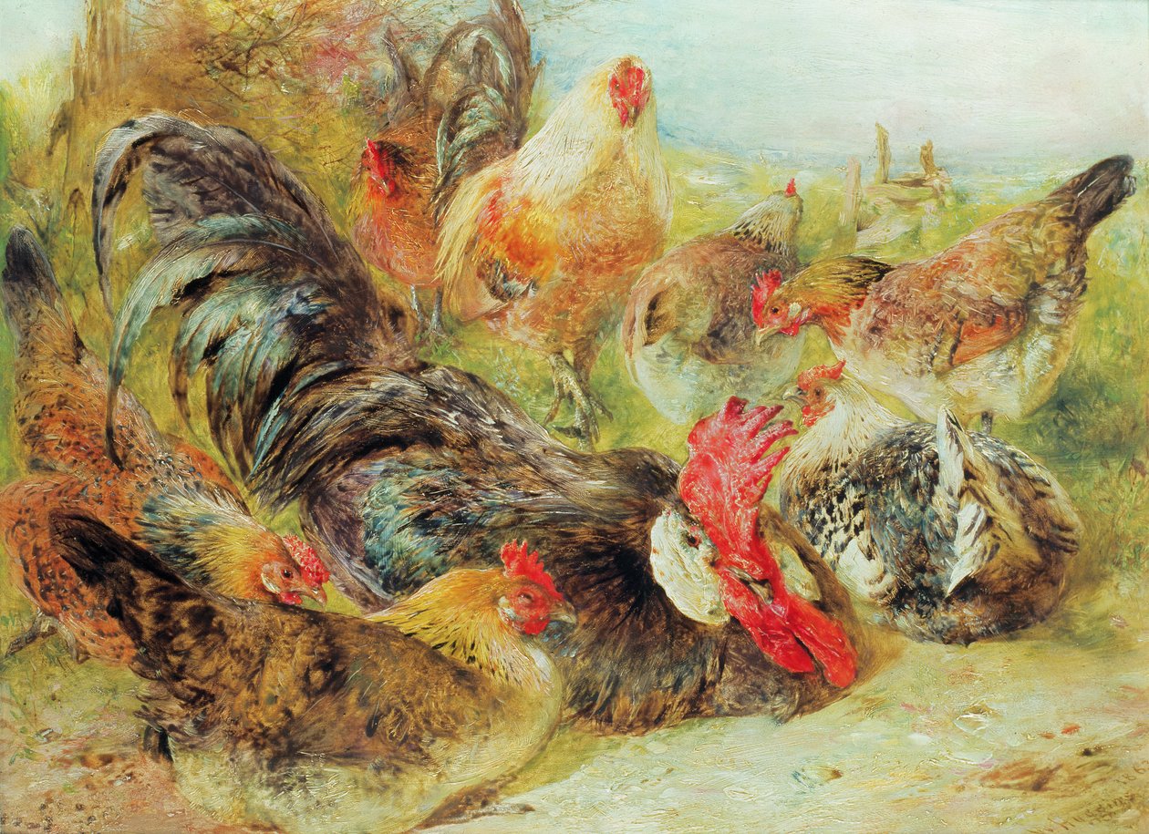 Aves de capoeira de William Huggins