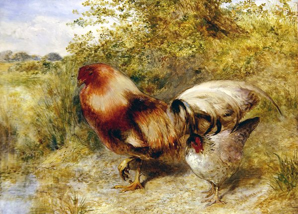 Aves de capoeira em uma paisagem de William Huggins
