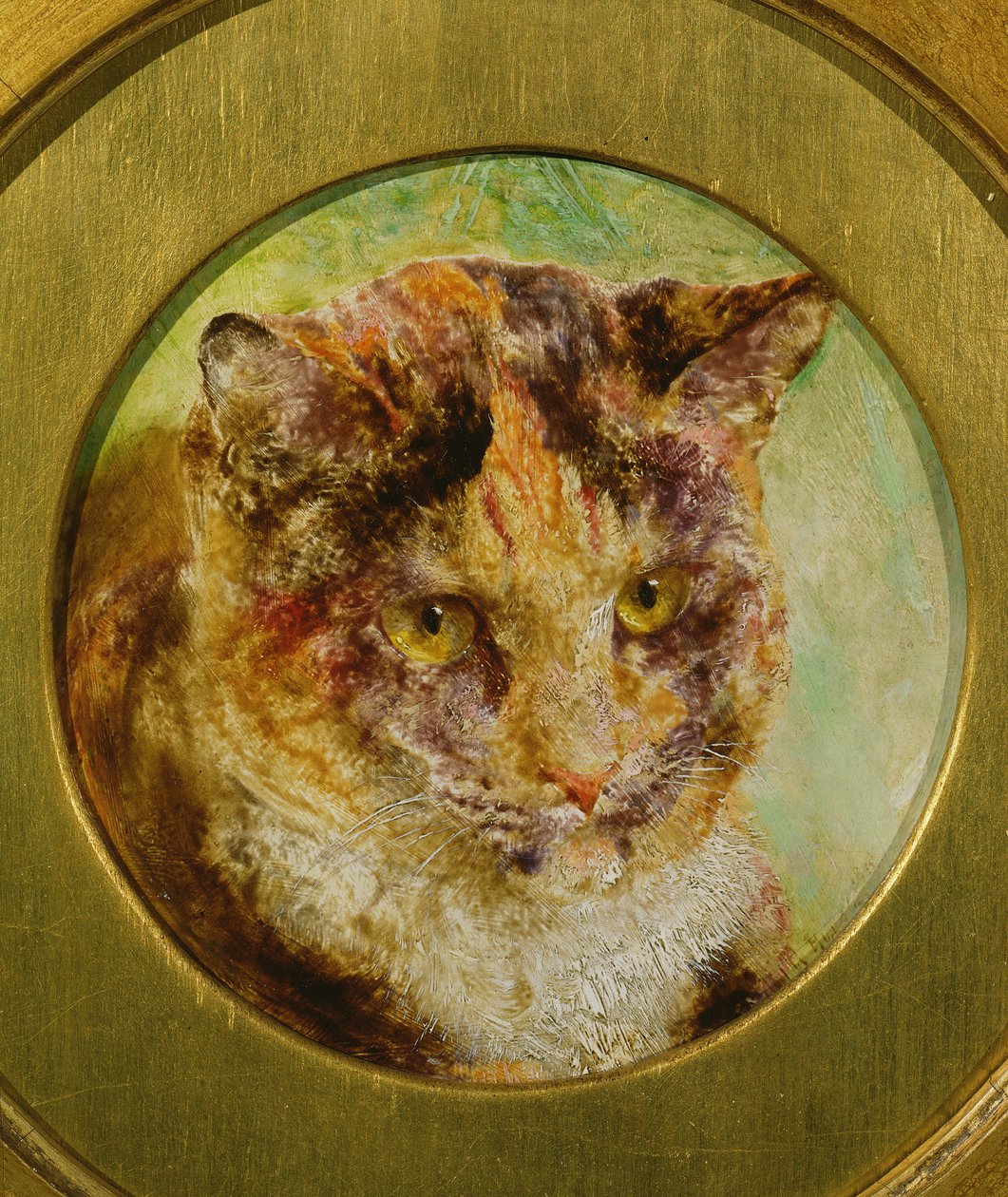 Estudo de um gato de tartaruga de William Huggins
