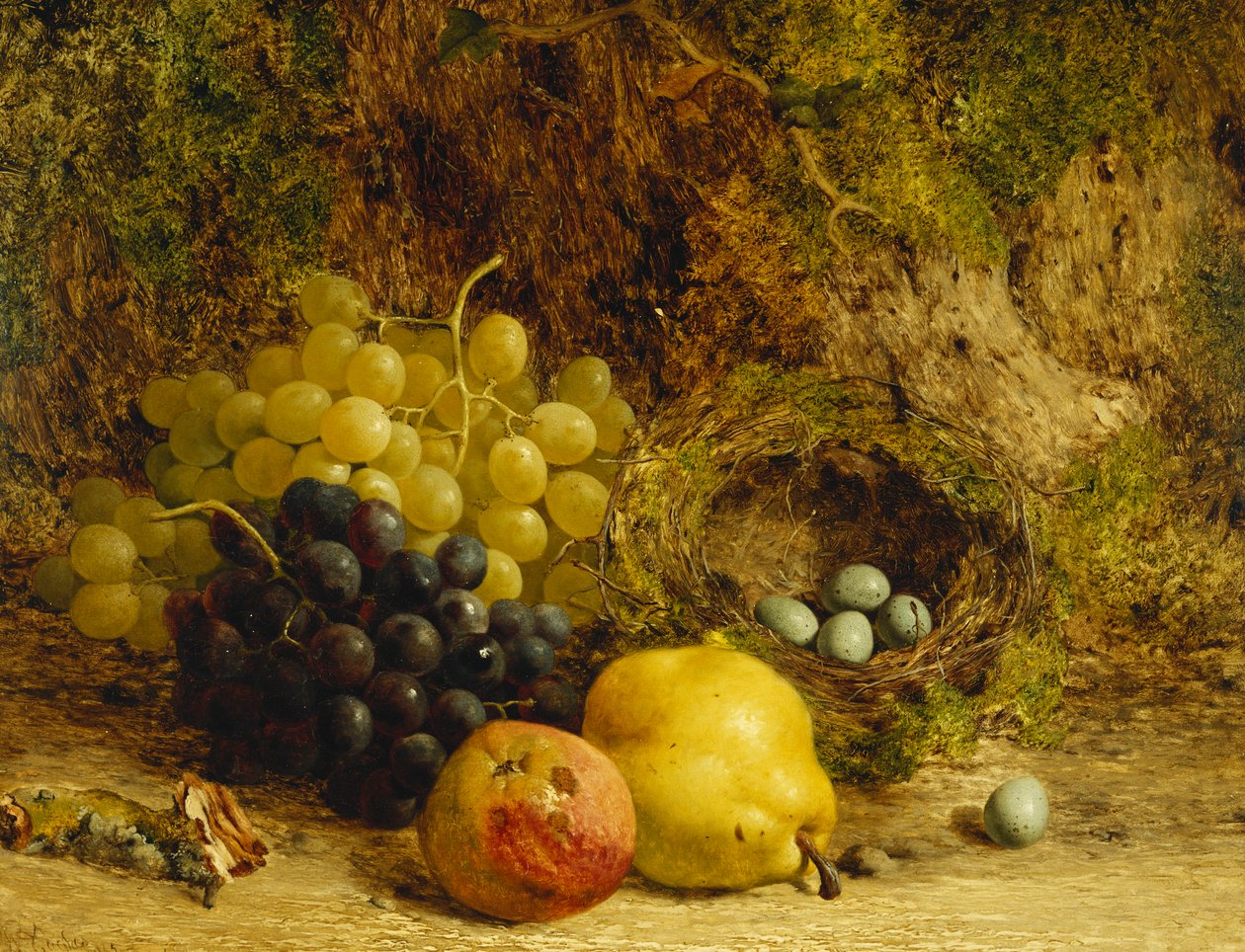 Uvas, maçã, pêra e ninho de pássaro em um banco coberto de musgo, 1865 de William Hughes