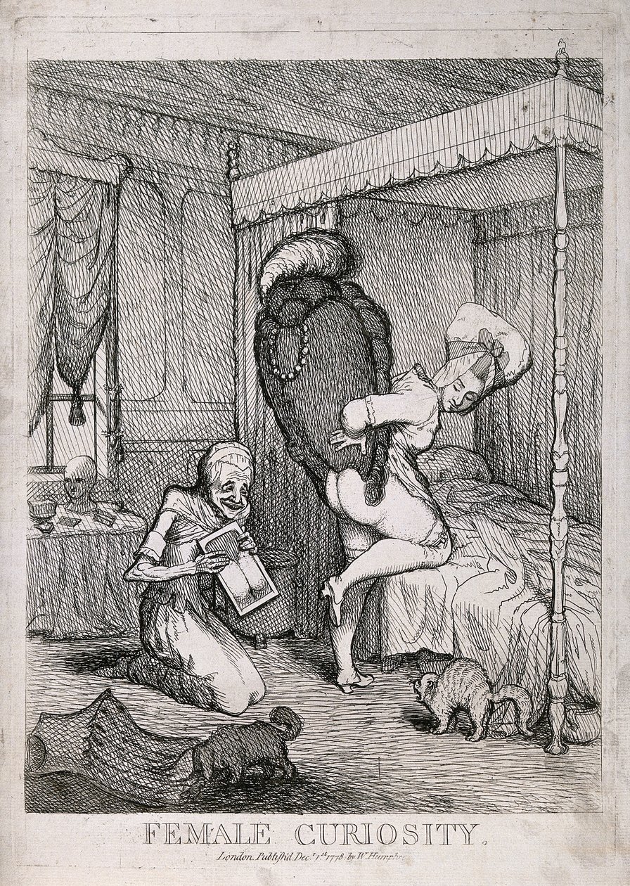 Curiosidade feminina de William Humphrey