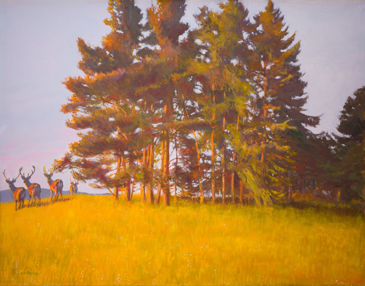 Vista da cabina (óleo a bordo) de William Ireland