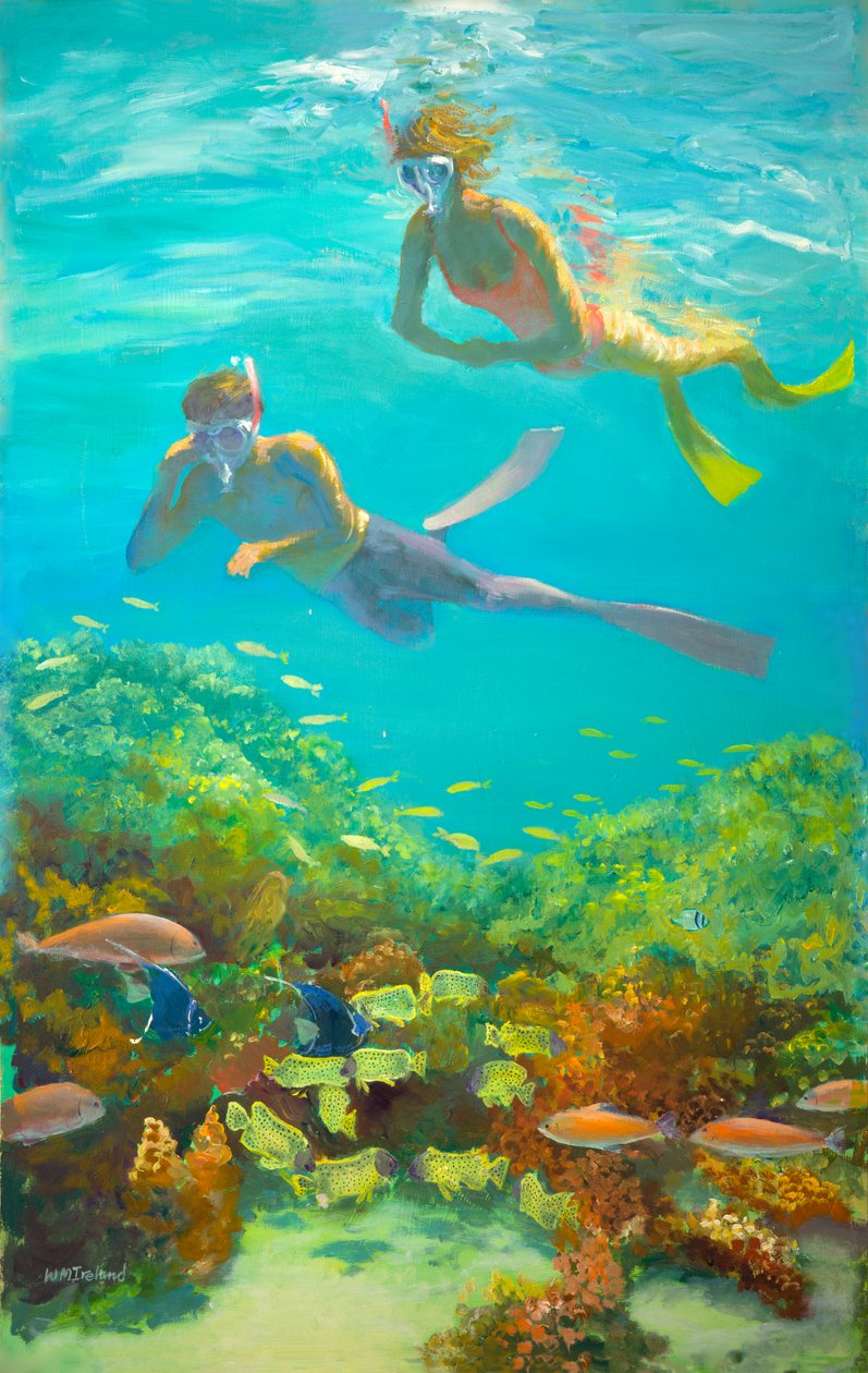 Barbatanas amarelas (óleo a bordo) de William Ireland