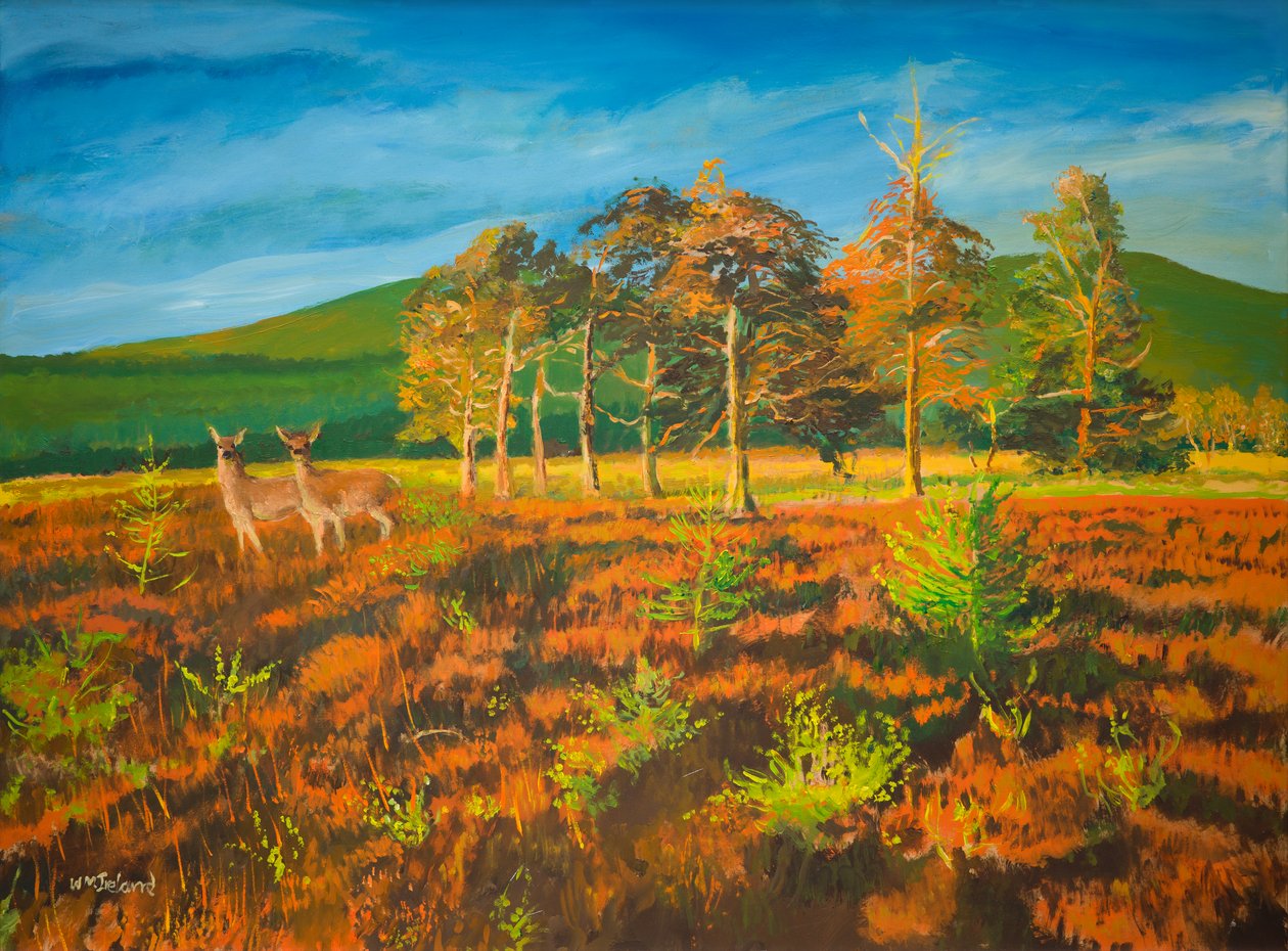nr. Aviemore, Escócia (petróleo a bordo) de William Ireland