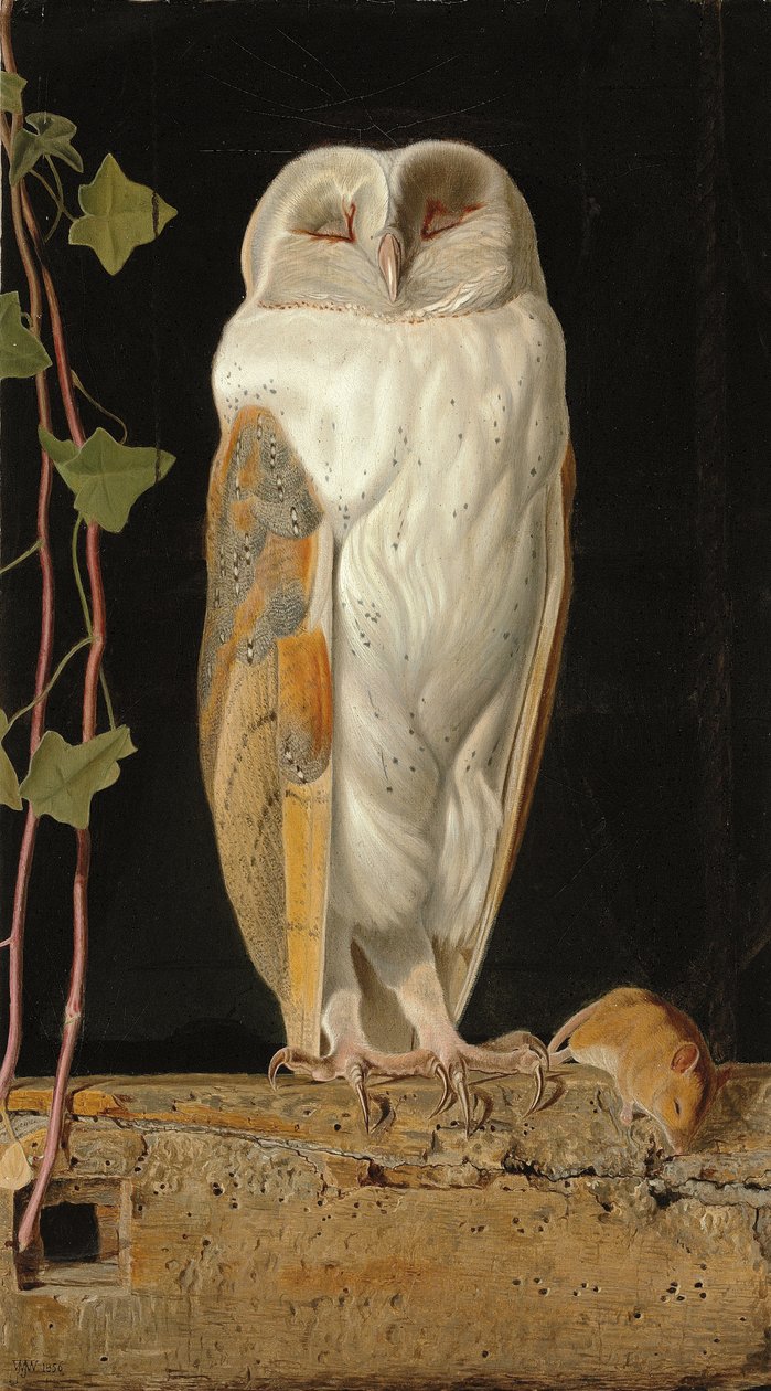 A coruja branca: "Sozinho e esquentando os cinco sentidos, fica a coruja branca no campanário", 1856 de William J. Webbe